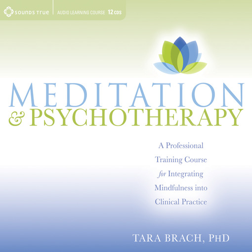 Title details for Meditation and Psychotherapy by Tara Brach - Available